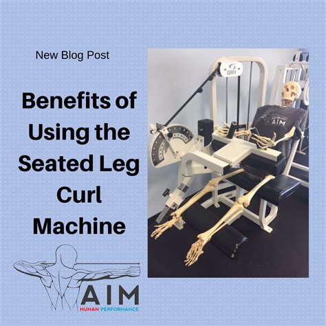 Benefits of Using the Seated Leg Curl Machine — AIM Human Performance