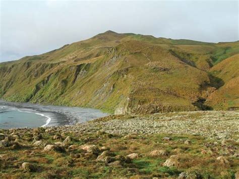 Macquarie Island | Subantarctic Wildlife, World Heritage Site | Britannica