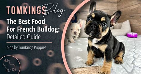 The Best Food For French Bulldog - TomKings Kennel