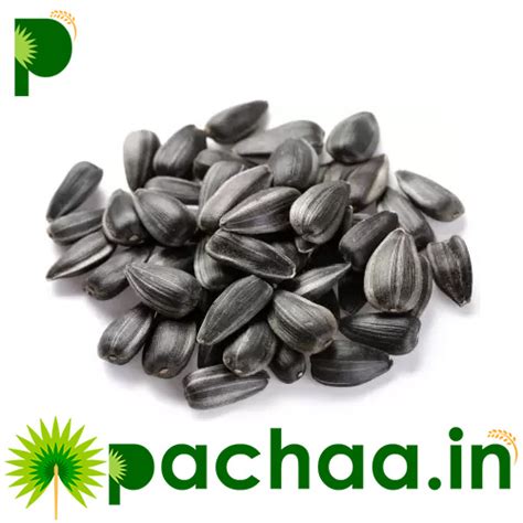 Buy Black Sunflower Seeds Birds Food online in Chennai at www.Pachaa.in