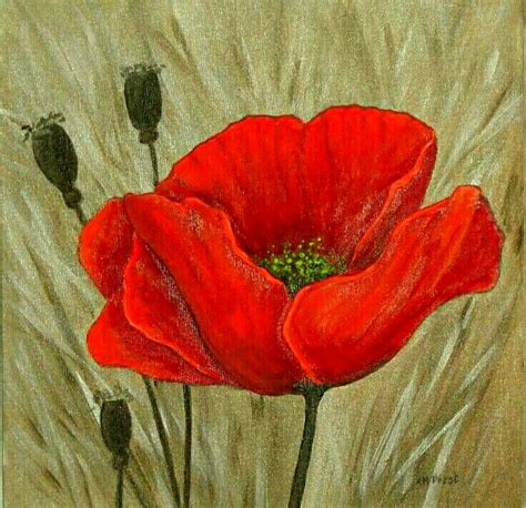 Pin by Elsabe van on art | Poppy painting, Flower art painting, Red ...