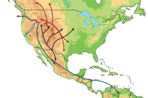 Migration Patterns | Sun Valley Magazine