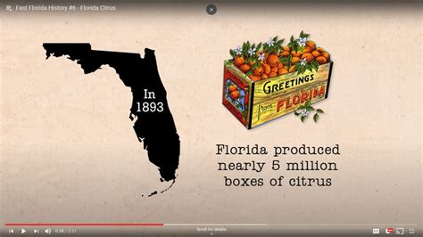 Florida Citrus | Florida Historical Society