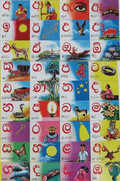 Sinhala Alphabet Poster - Seguroce