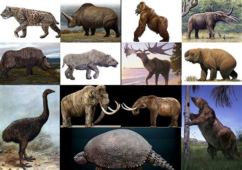 Megafauna of the Pleistocene Quiz - By bhenderson79