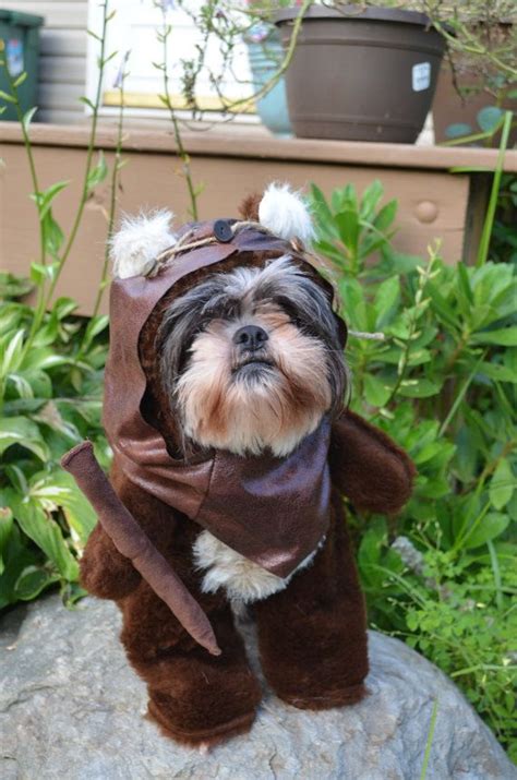 Adorable Furry Reddish Brown Woodland Dog Halloween Costume | Etsy | Ewok dog costume, Dog ...