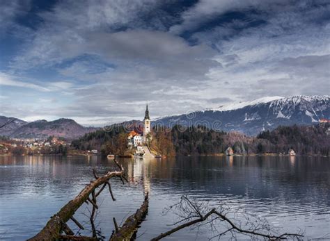 Lake Bled Castle with Fallen Tree Stock Photo - Image of creative, rowing: 144682960