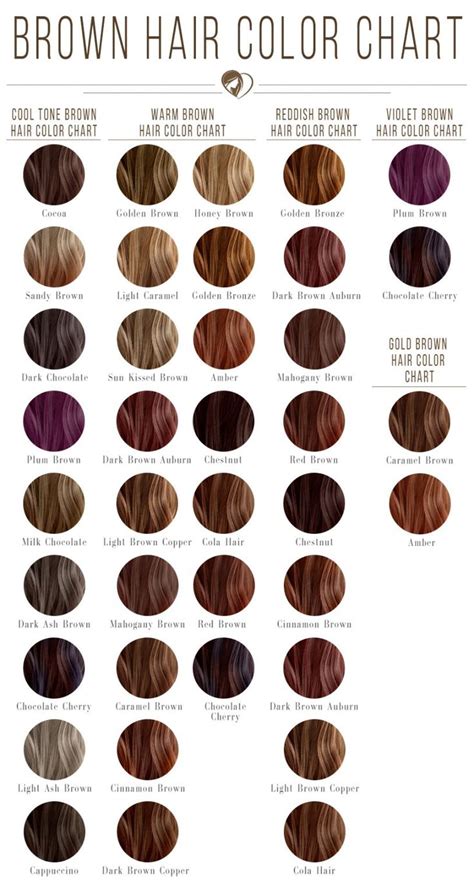 Shades Of Brown Hair Color Chart