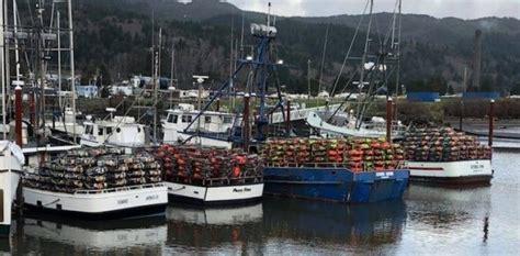 Oregon’s commercial Dungeness crab fishery opens Jan. 15 from Cape ...