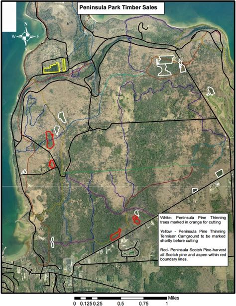 Peninsula State Park Begins Pine Planation Thinning - Door County Pulse