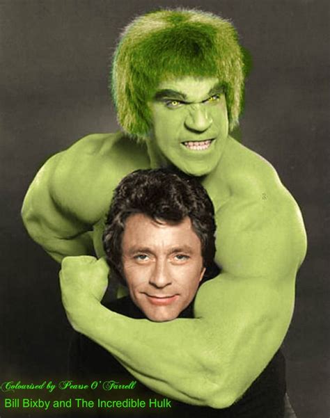 Bill Bixby as Dr. David Bruce Banner, Lou Ferrigno as the Hulk, | Incredible hulk tv, Incredible ...