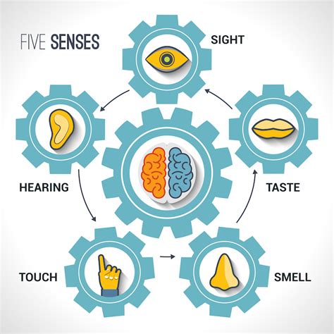 Self-Care Through Our 5 Senses - WhereToTalk