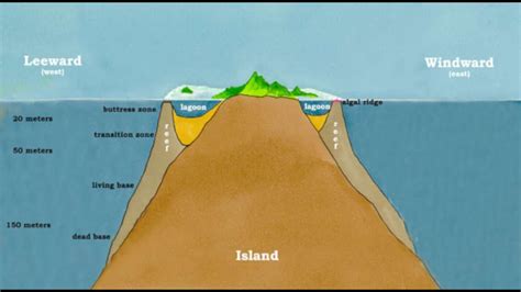 5.2 What is a Coral Atoll? Darwin's Hypothesis on the Origin of Coral ...