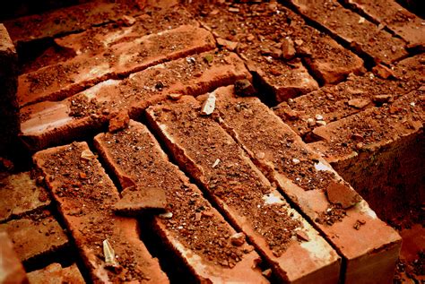 Red Bricks Free Stock Photo - Public Domain Pictures