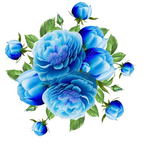 Image Of Blue Flowers - Infoupdate.org