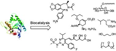 Recent applications of biocatalysis in developing green chemistry for chemical synthesis at the ...