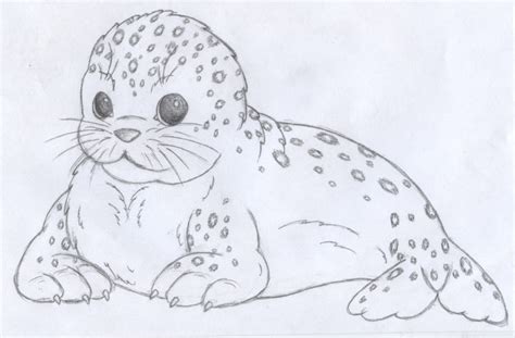 Fat little seal pup by gir-fluff on DeviantArt