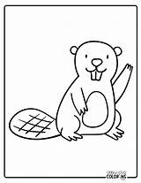 Beaver Coloring Pages Free PDF Printables  Simply Love sketch template