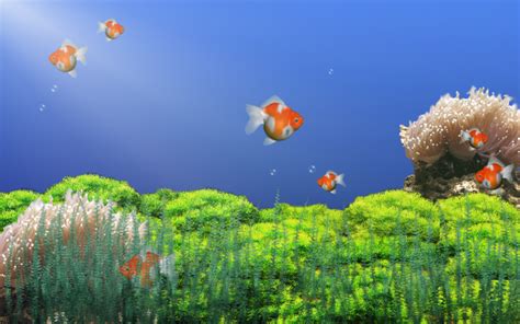 WinCustomize: Explore : Dream : Goldfish Aquarium