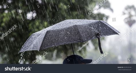 Person Umbrella Rain Stock Photo 557915143 - Shutterstock