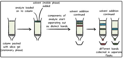 Chromatography Labelled Diagram