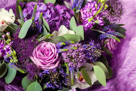 Best Purple Flowers for Gardens and Bouquets | Bouqs Blog