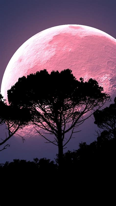 Pink Moon Wallpapers - Top Free Pink Moon Backgrounds - WallpaperAccess