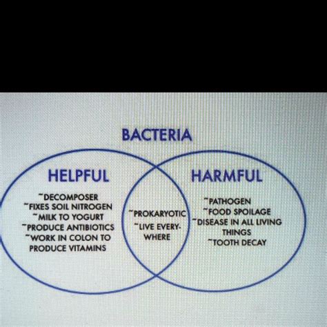 SOLVED: The Venn diagram details some of the helpful and harmful ...