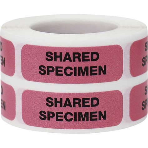 Shared Specimen File Labels - InStockLabels.com