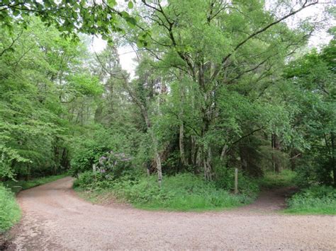 Driveway and path near Liphook © Malc McDonald cc-by-sa/2.0 :: Geograph ...