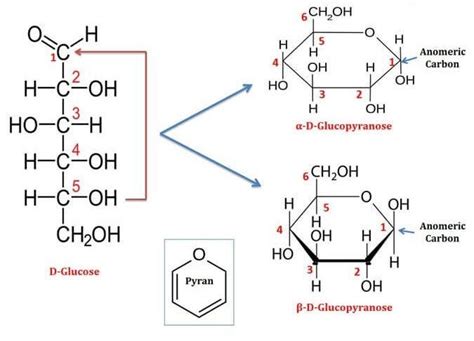 structure of glucose and fructose - Overview, Structure, Properties & Uses