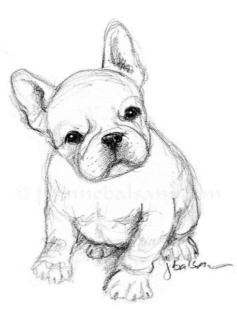 40 Free & Easy Animal Sketch Drawing Information & Ideas - Brighter ...