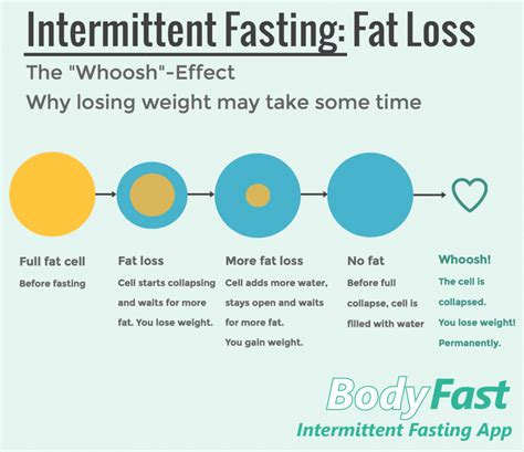 Normal Weight Loss Intermittent Fasting - Manga