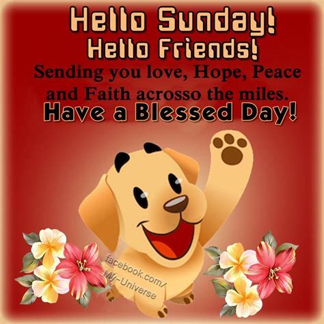 Hello Sunday! Hello Friends! sunday sunday quotes hello sunday sunday ...