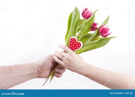 Giving Flowers Royalty Free Stock Photos - Image: 23100008