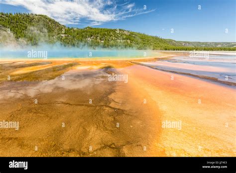 The vivid rainbow colors of the Grand Prismatic Spring in Yellowstone National Park, Wyoming ...