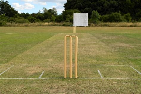 What's The Impact Of Pitch On The Game Of Cricket? » ScienceABC