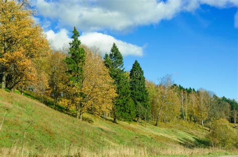 Autumn Landscape of the Russian Forest Stock Photo - Image of abstract, field: 31298560