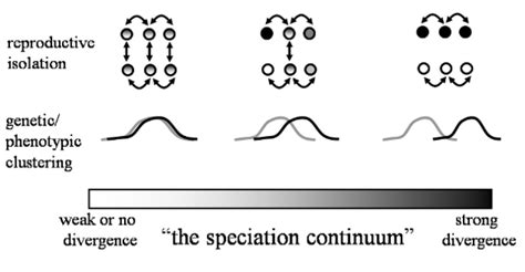 Speciation: The Origin of New Species | Learn Science at Scitable