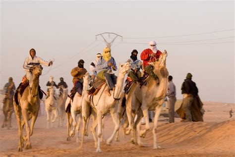 Camel Racing Season in Dubai - Dubai Blog