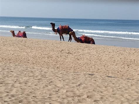 Ganpatipule Beach: A Paradise for Beach Lovers - E India Tourism