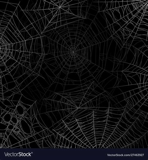 Spider Web Wallpaper Pattern