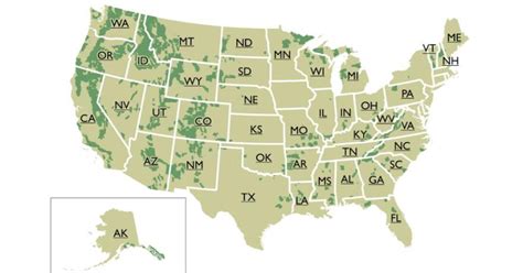 Researchers make a map of all old-growth forest in Lower 48 | Jefferson Public Radio