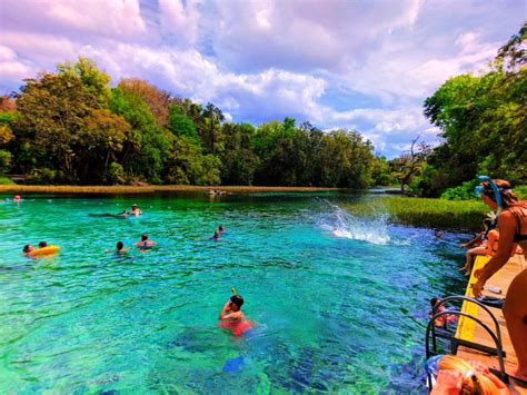 Swimming platform at Rainbow Springs Florida State Park 3 - 2 Travel Dads