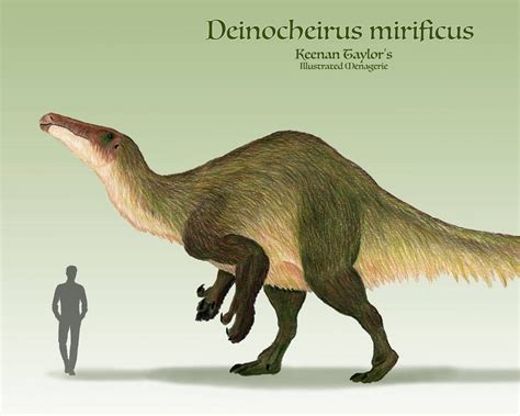 Deinocheirus mirificus by https://www.deviantart.com ...