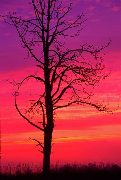 Sunrise Silhouette Photograph by Joe Klune - Fine Art America