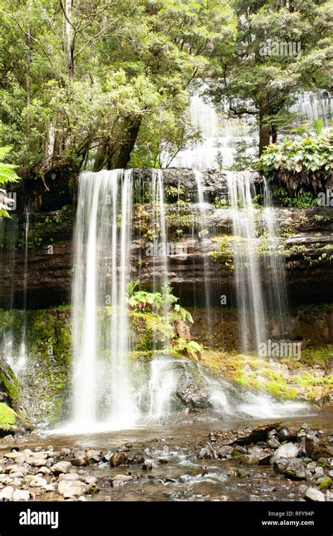 Russell Falls, Tasmania, Australia Stock Photo - Alamy