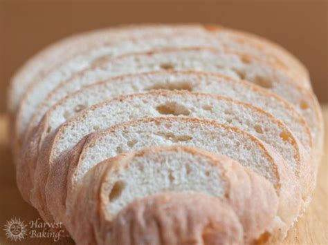 Italian Pugliese Bread by Harvest Baking