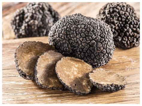 What are Truffle Mushrooms and everything you should know about them | The Times of India