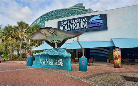 The Florida Aquarium – Tampa Bay Night Life